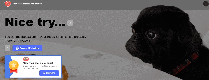 block-websites-chrome